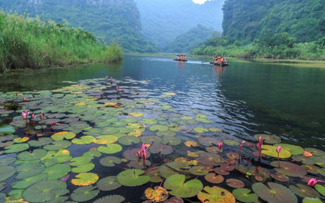 Tham khảo kinh nghiệm du lịch Tràng An mùa thu cảnh sắc hữu tình