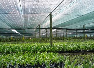 Lưới Lan giá nhà máy,uy tín chất lượng luoi lan