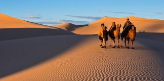 Hành trình khám phá sa mạc Gobi Mông Cổ - sa mạc lớn nhất tại châu Á