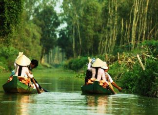 Khám phá khu du lịch Gáo Giồng Đồng Tháp – xứ sở của những loài chim quý Khám phá khu du lịch Gáo Giồng Đồng Tháp - xứ sở của những loài chim quý